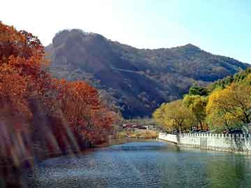 新澳天天开奖资料大全旅游团，做鸡